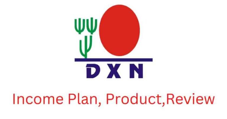 dxn company business plan
